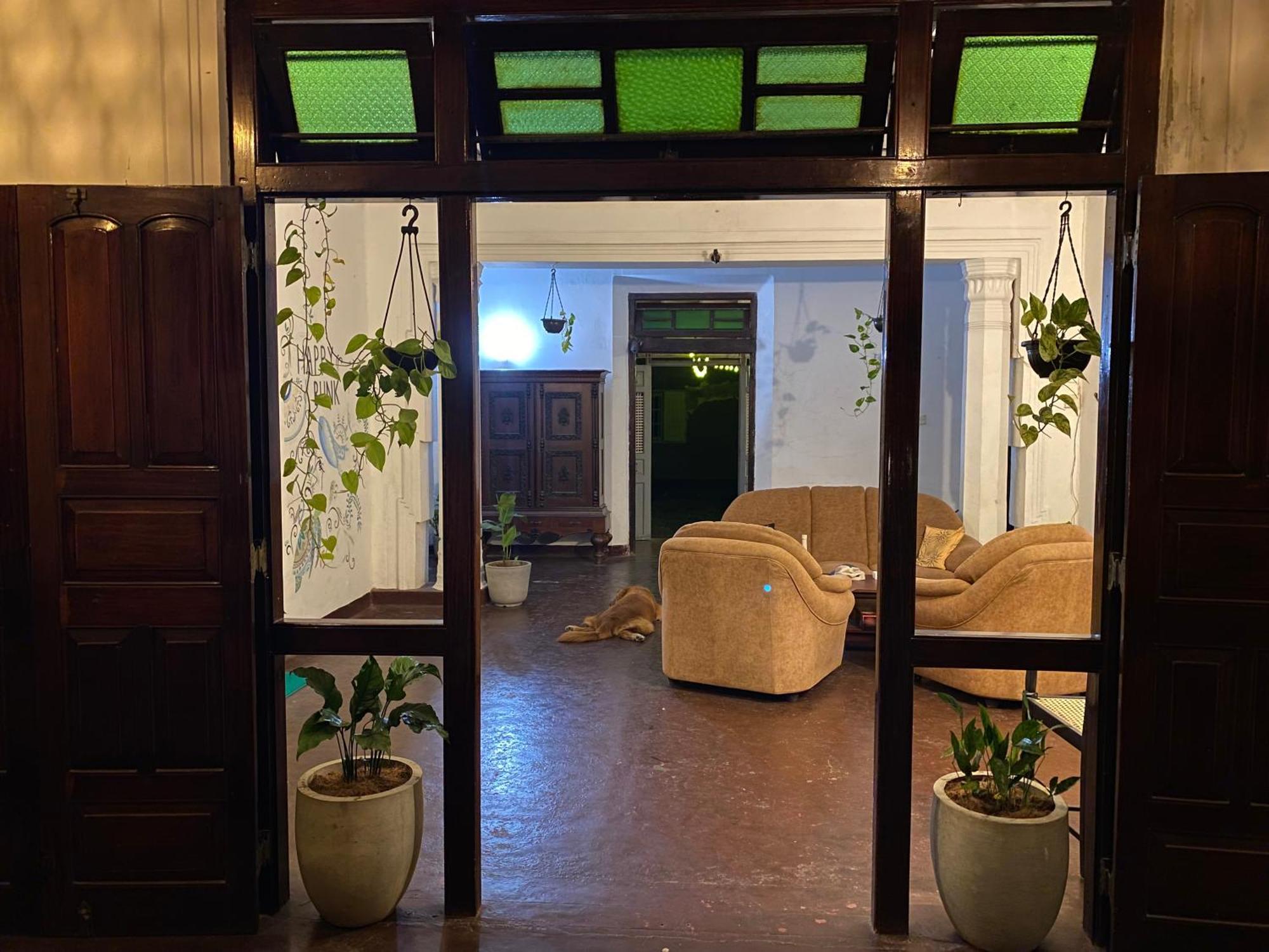 Happy Bunk Hostel Велигама Экстерьер фото